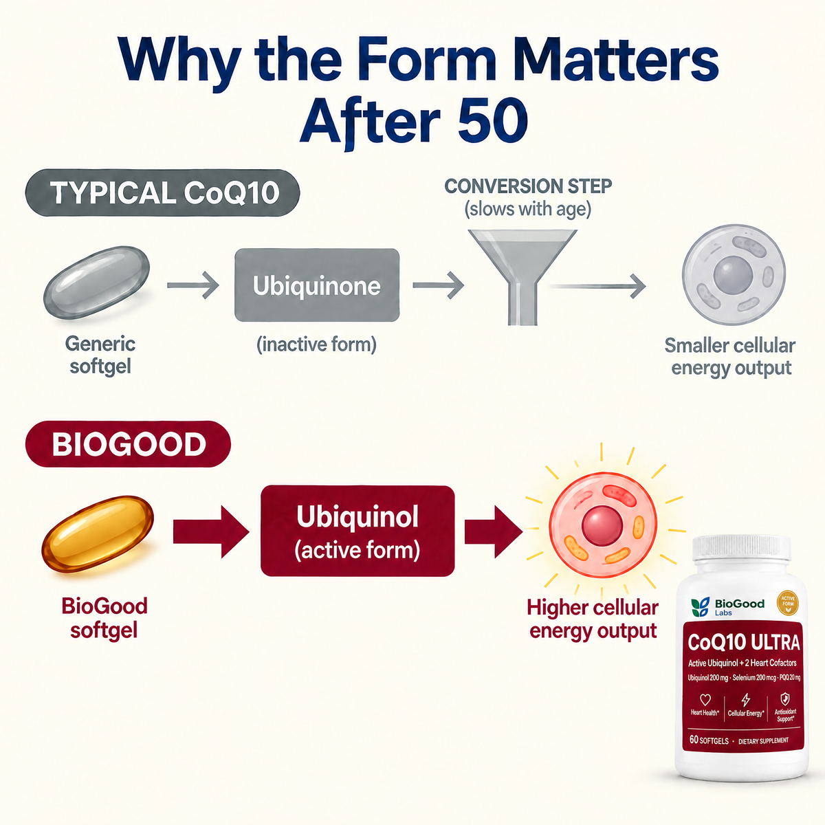 Why the CoQ10 form matters after 50